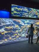 Cinéaqua - Acquario di Parigi: Biglietto d'ingresso