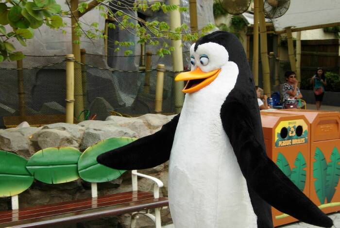 Penguins of Madagascar | Photo: Flickr, Dan Hatfield - CC-BY-SA 2.0