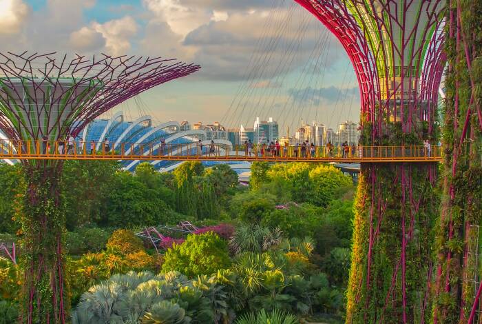 OCBC Skyway Hängebrücke im Bay South Garden | Foto: Unsplash, Coleen Rivas