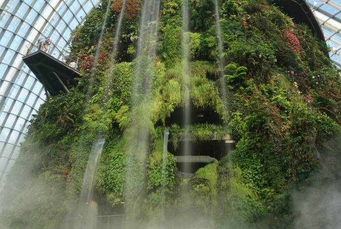Cloud Mountain Wasserfall im Cloud Forest | Foto: Unsplash, Justin Lim