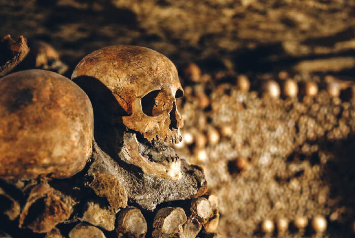 Totenschädel | Foto: Flickr, Laura Meyers - CC BY-NC-SA 2.0