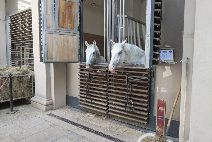 Im Reitstall | Foto: Flickr, Kevin O'Brien - CC-BY-SA 2.0