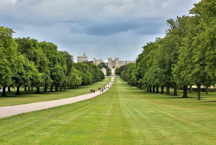 Windsor Great Park | Foto: Unsplash, Simon Curry