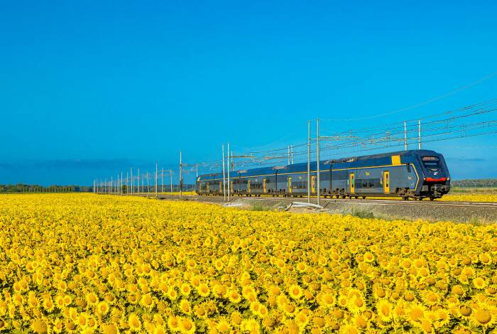 Treno per Pisa | Unsplash: Frank Andiver