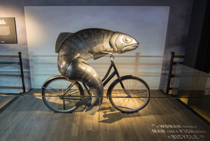 Radelnder Fisch | Flickr: Owen Byrne CC-BY 2.0