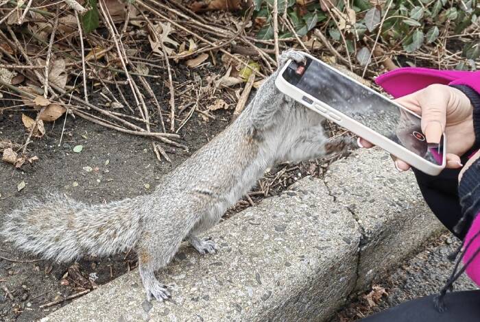 Immer Action in New York City | Central Park, NYC