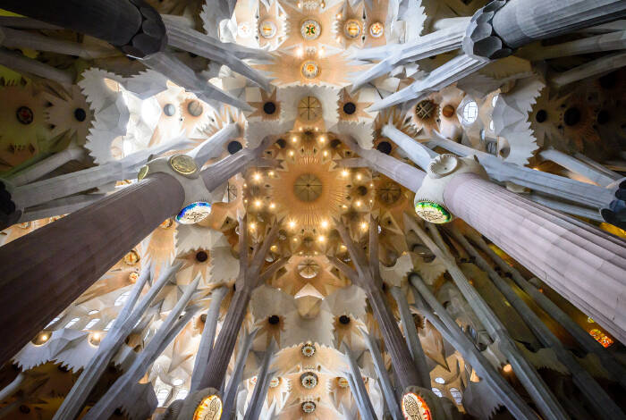 Ceiling of Sagrada Família | Flickr: Fred PO CC-BY-SA 2.0