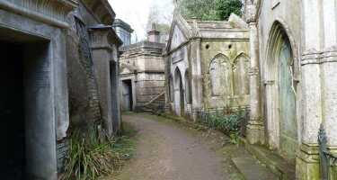 Highgate Cemetery tickets & tours | Price comparison