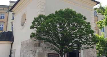 Church of St. Adalbert tickets & tours | Price comparison
