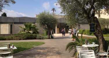 Musée Marc Chagall tickets & tours | Price comparison