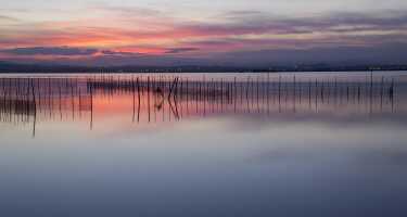 Parc Natural de l'Albufera tickets & tours | Price comparison