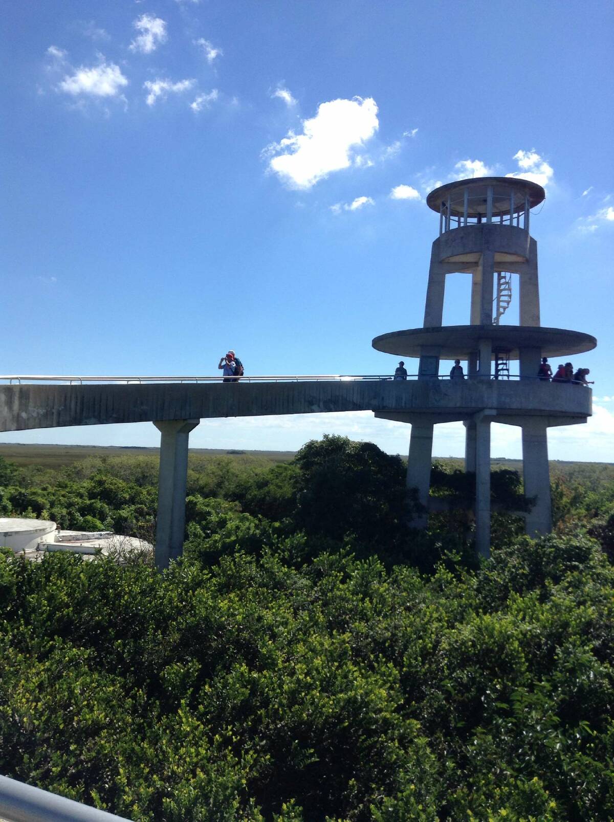 Everglades National Park Compare Prices for Day Trips Tours of