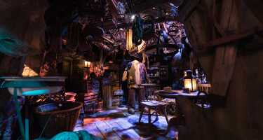 Biglietti e tour per Warner Bros. Studio Tour London - The Making of Harry Potter | Confronto prezzi