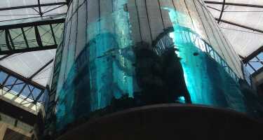 AquaDom Berlin - Vergleiche Tickets für das Aquarium und buche im