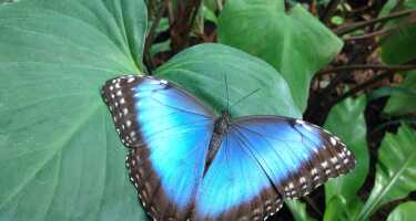 Artis Zoo | Online Tickets & Touren Preisvergleich