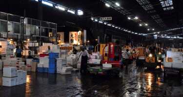 Tsukiji fish market tickets & tours | Price comparison