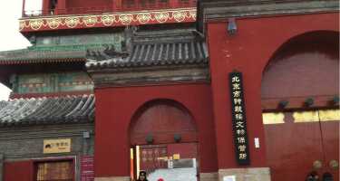 Trommelturm | Online Tickets & Touren Preisvergleich