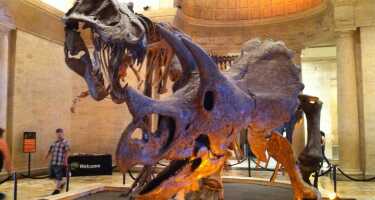 Natural History Museum of Los Angeles County tickets & tours | Price comparison