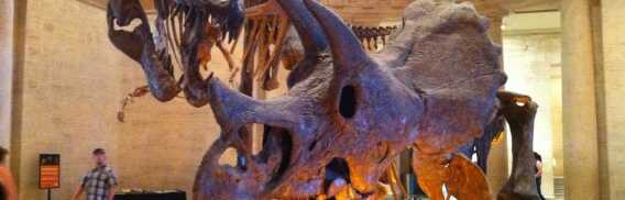 Naturhistorisches Museum Los Angeles | Online Tickets & Touren Preisvergleich
