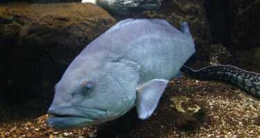 Cretaquarium tickets & tours | Price comparison