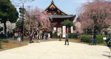 Ueno-Park | Online Tickets & Touren Preisvergleich