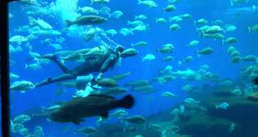 Palma Aquarium | Online Tickets & Touren Preisvergleich