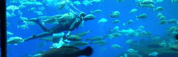 Palma Aquarium tickets & tours | Price comparison