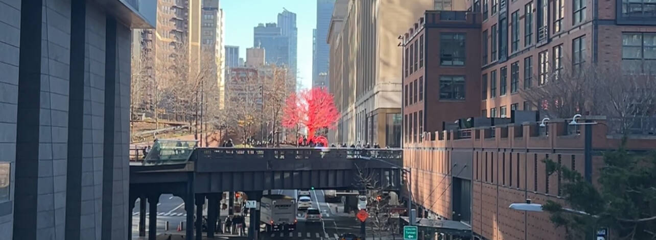 The High Line Vergleiche Preise für Führungen durch den Park auf der ehemaligen Hochbahnstrecke