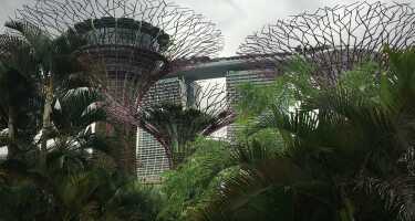 Gardens by the Bay tickets & tours | Price comparison