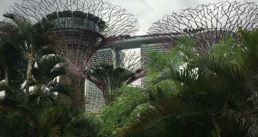 Biglietti e tour per Gardens by the Bay | Confronto prezzi