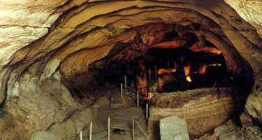 Għar Dalam tickets & tours | Price comparison