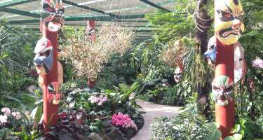 National Orchid Garden tickets & tours | Price comparison