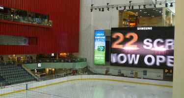 Dubai Ice Rink | Online Tickets & Touren Preisvergleich