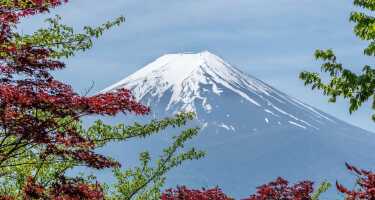 Mount Fuji tickets & tours | Price comparison