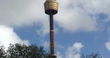 Sydney Tower | Online Tickets & Touren Preisvergleich