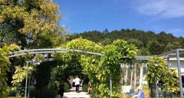 Musée des impressionnismes Giverny | Online Tickets & Touren Preisvergleich