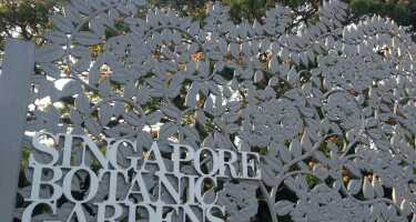Singapore Botanic Gardens tickets & tours | Price comparison