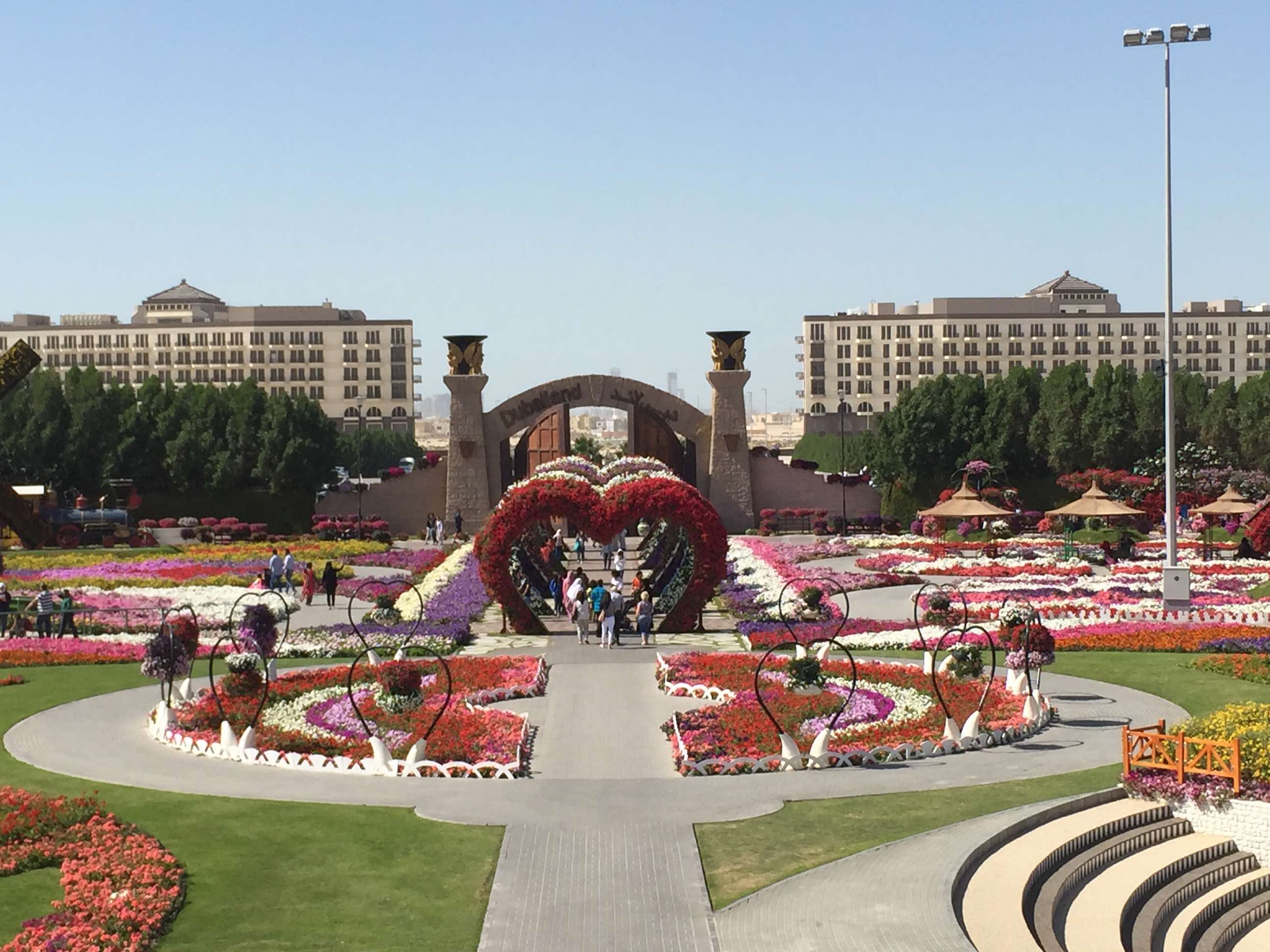 Dubai Miracle Garden Compare Ticket Prices From Different Websites