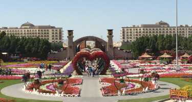 Dubai Miracle Garden tickets & tours | Price comparison