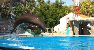 Lisbon Zoo tickets & tours | Price comparison