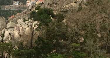 Castle of the Moors tickets & tours | Price comparison