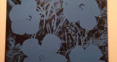 MAC/CCB Museum of Contemporary Art and Architecture Centre tickets & tours | Price comparison