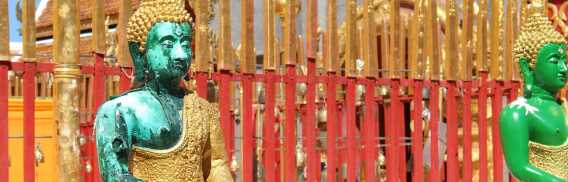 Biglietti e tour per ดอยสุเทพ | Confronto prezzi