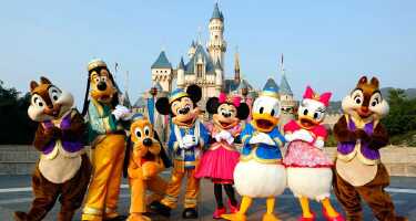 Disneyland tickets & tours | Price comparison