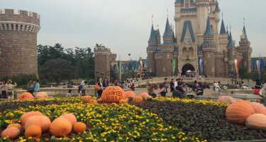 Tokyo Disneyland tickets & tours | Price comparison