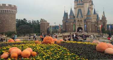 Disneyland Tokio | Online Tickets & Touren Preisvergleich