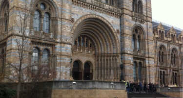 Natural History Museum tickets & tours | Price comparison