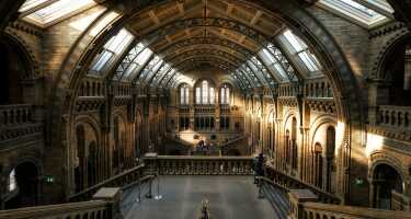 Natural History Museum | Online Tickets & Touren Preisvergleich