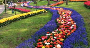 Keukenhof | Online Tickets & Touren Preisvergleich