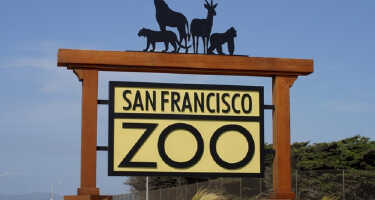 San Francisco Zoo | Online Tickets & Touren Preisvergleich